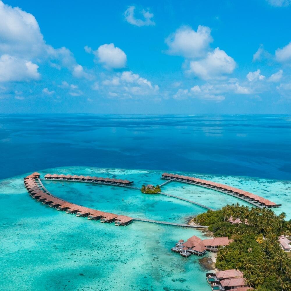 WhatsApp+Image+2021-01-20+at+4.36.48+PM+(1)