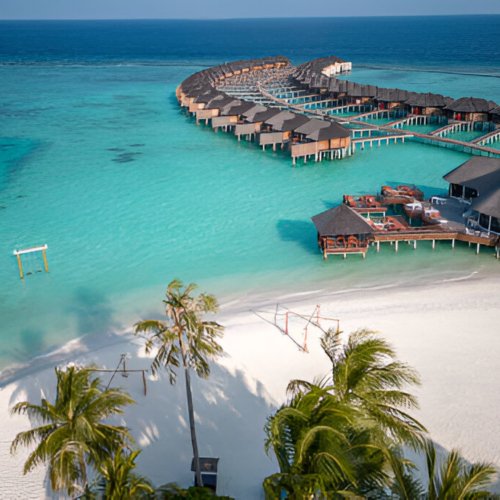 steptodown.com771226