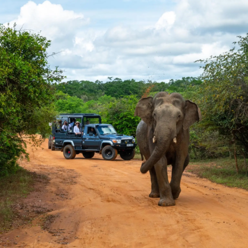 186cf02dde34fe06e12e1762a9bdb409